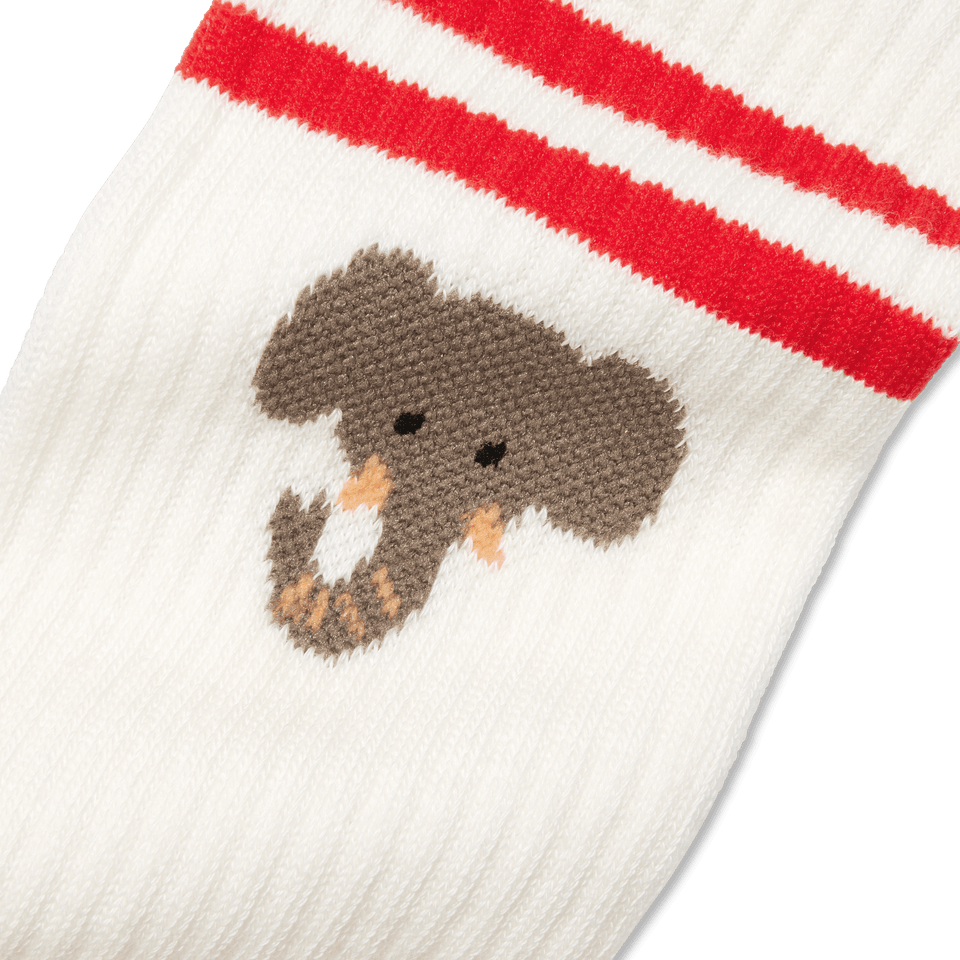 Safari Stripe Calf Socks - Soft White Detail [7818]