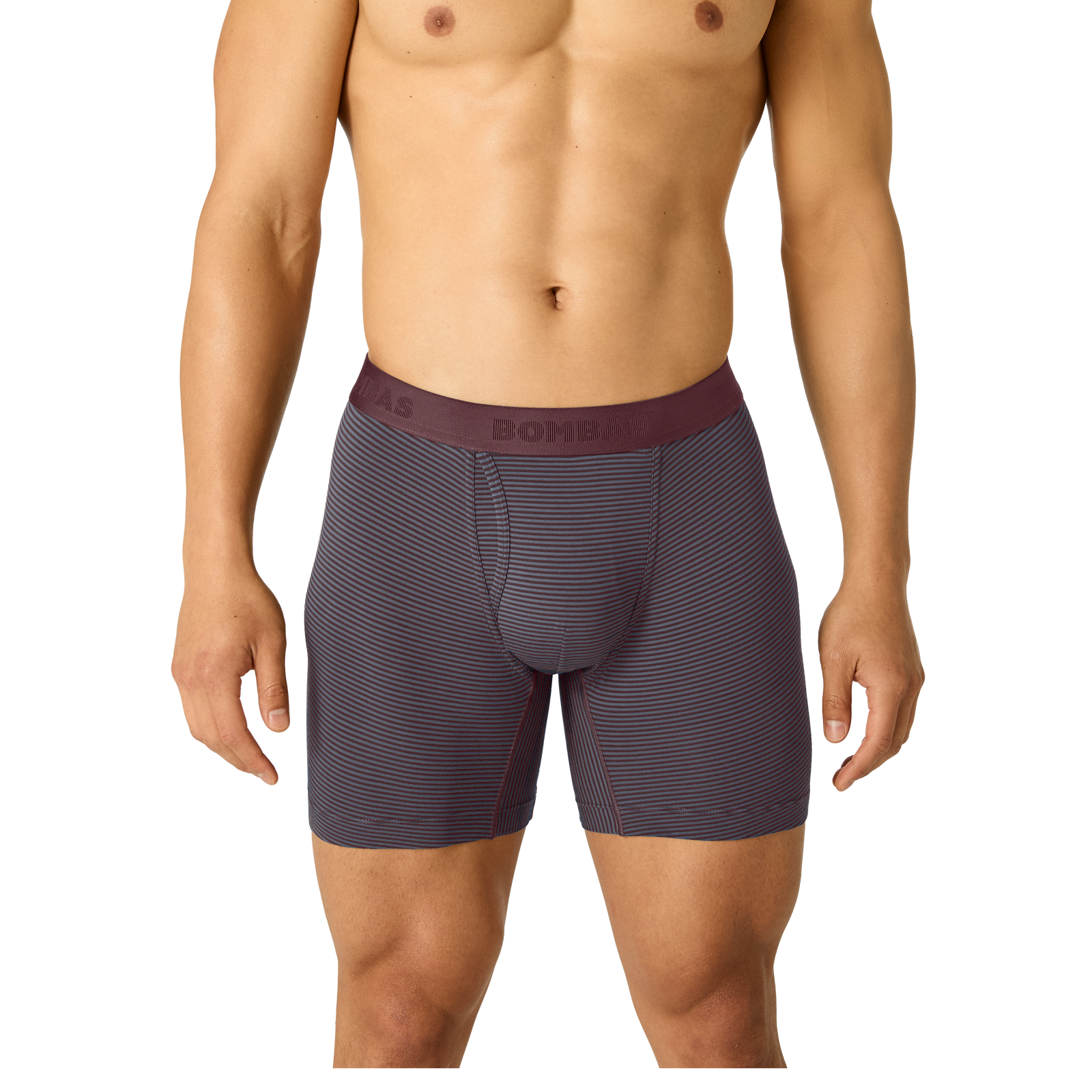 Men's Cotton Modal Blend Boxer Brief - pebble all spice stripe MO1 [8470]