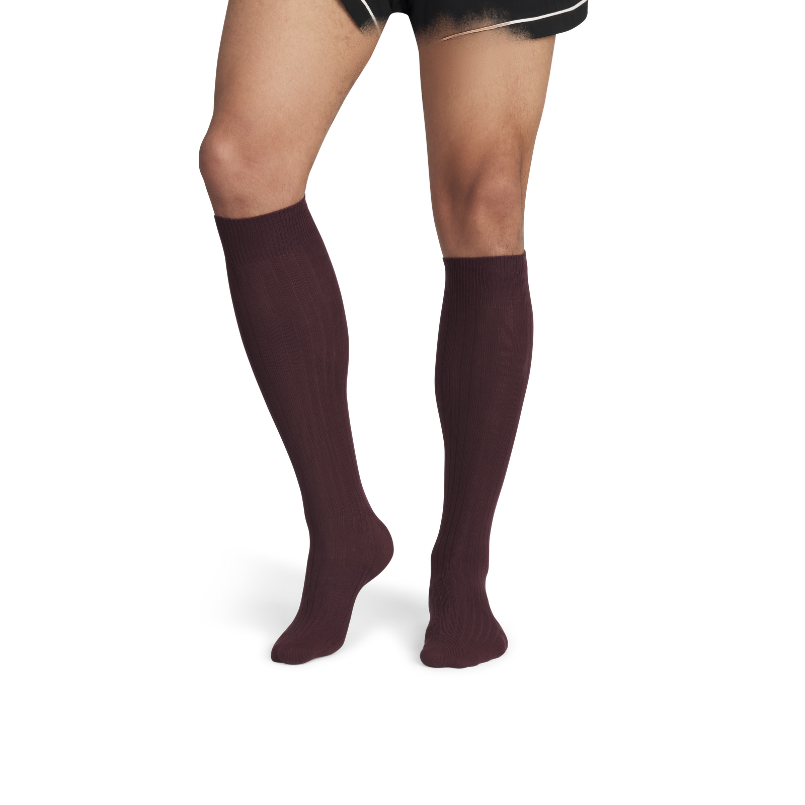 Ribbed Dress OTC Socks - Chocolate Brown MO1 [8806]